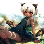  1girl :&lt; animal_ears black_dress cat_ears cat_tail collar dark_skin dress flat_chest highres hitomaru looking_at_viewer original panties red_eyes ribbon short_hair sitting sword tail underwear weapon whiskers white_hair white_panties wrist_cuffs 