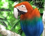  bird jungle lowres macaw nature no_humans original palm_tree parrot red-and-green_macaw shingyouji_tatsuya tree 