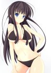  1girl bikini black_hair blue_eyes ikaruga_(senran_kagura) long_hair senran_kagura swimsuit youkan_(mattya_youkan) 