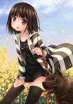  1girl black_hair black_legwear dog fukube_tamaki kouno_hikaru leash looking_at_viewer open_mouth original red_eyes short_hair solo thigh-highs zettai_ryouiki 