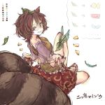  1girl animal_ears brown_eyes brown_hair futatsuiwa_mamizou glasses gourd grin leaf leaf_on_head looking_back pince-nez raccoon_ears raccoon_tail rita911 sitting smile tail touhou wings 