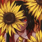  1girl ascot face flower green_hair hiding highres higurashi_aki kazami_yuuka looking_at_viewer red_eyes short_hair smile solo sunflower touhou 