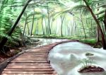  chipika forest nature no_humans scenery still_life stream water 