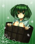 1girl bucket green_hair hair_bobbles hair_ornament japanese_clothes kimono kisume kobae looking_at_viewer solo touhou twintails 