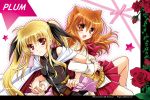  2girls animal_ears artist_name bare_shoulders belt blonde_hair blush bow buckle cape crossover dog_days dog_ears fate_testarossa flower holding_hands kanna_(plum) long_hair long_sleeves lyrical_nanoha mahou_shoujo_lyrical_nanoha mahou_shoujo_lyrical_nanoha_a&#039;s mahou_shoujo_lyrical_nanoha_the_movie_2nd_a&#039;s mizuki_nana multiple_girls orange_eyes orange_hair red_eyes ribbon ricotta_elmar seiyuu_connection skirt smile socks star twintails watermark web_address 