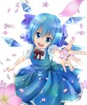  1girl blue_eyes blue_hair bow cherry_blossoms cirno dress hair_bow highres looking_at_viewer open_hand open_mouth outstretched_arm ribbon rikkunia short_hair simple_background solo touhou white_background wings 
