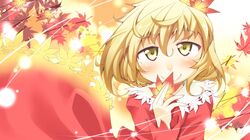  1girl aki_shizuha autumn blonde_hair leaf maple_leaf nyagakiya red_eyes short_hair solo touhou 